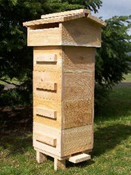 DIYBeehive.com  Build Your Own Warre Garden Backyard Top Bar Bee Hive