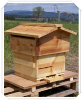 Red Cedar Warre Garden Hive