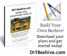Click here to view plans at DIYBeehive.com Click here to view plans at DIYBeehive.com