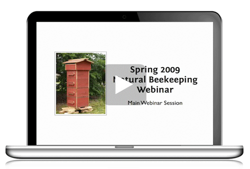 Bonus Natural Beekeeping Webinar and Mindmaps